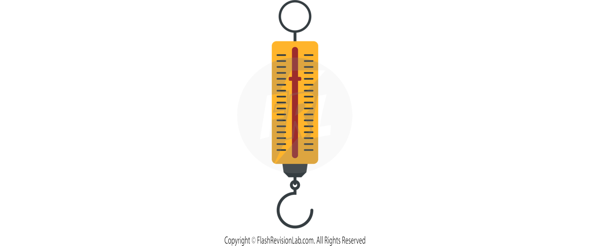 Newtonmeter